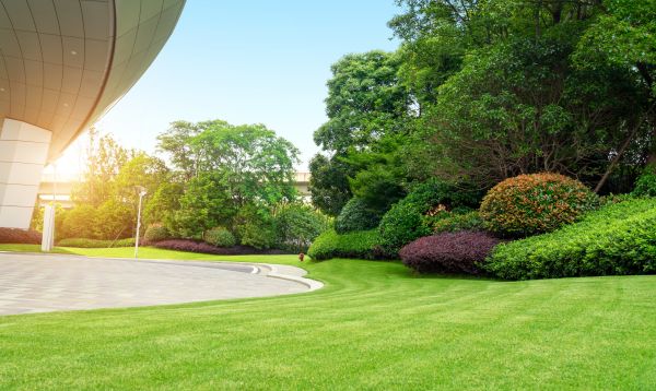 Commercial Shrub Trimming in West Chester