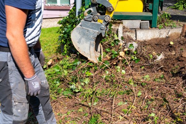 Hedge Removal Service in West Chester