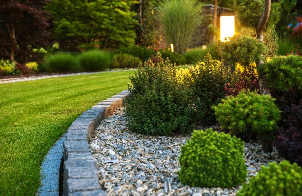 Bush Relocation in West Chester