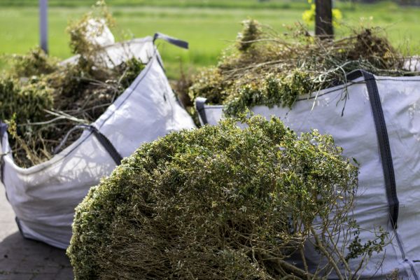 Cost of Shrubs Removal in West Chester