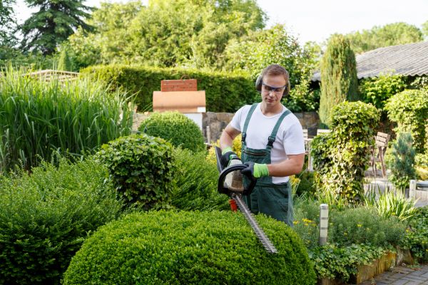 Shrubs Trimming in West Chester