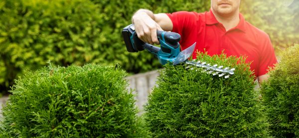 Hedge Shaping Service in West Chester