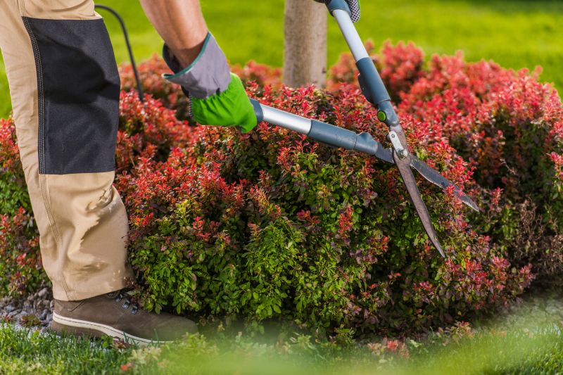Seasonal Shrub Maintenance