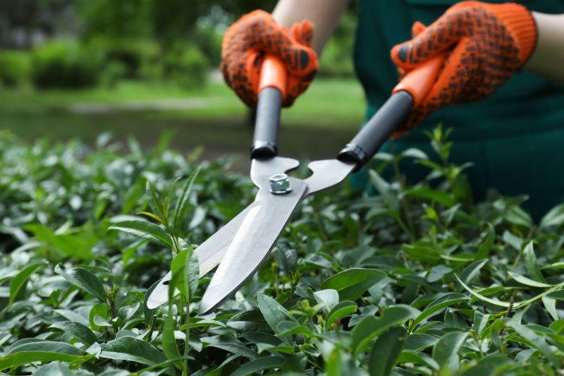 Shrub Trimming Tools