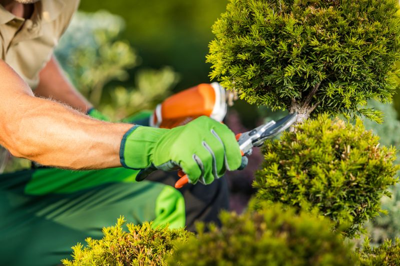 Customized shrub care plans